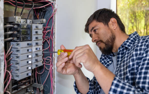 Best Electrician for Home Renovation  in Eufaula, AL